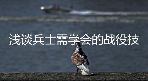 兵士会的战役需学浅谈技能